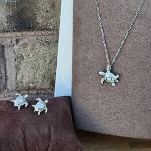 Sea Turtle Earring and Necklace Set